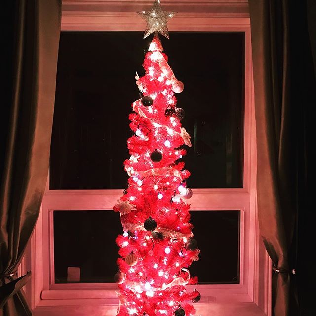 melania-totally-copied-our-red-christmas-idea.-bless-her-complicit-heart.-x1f3fc