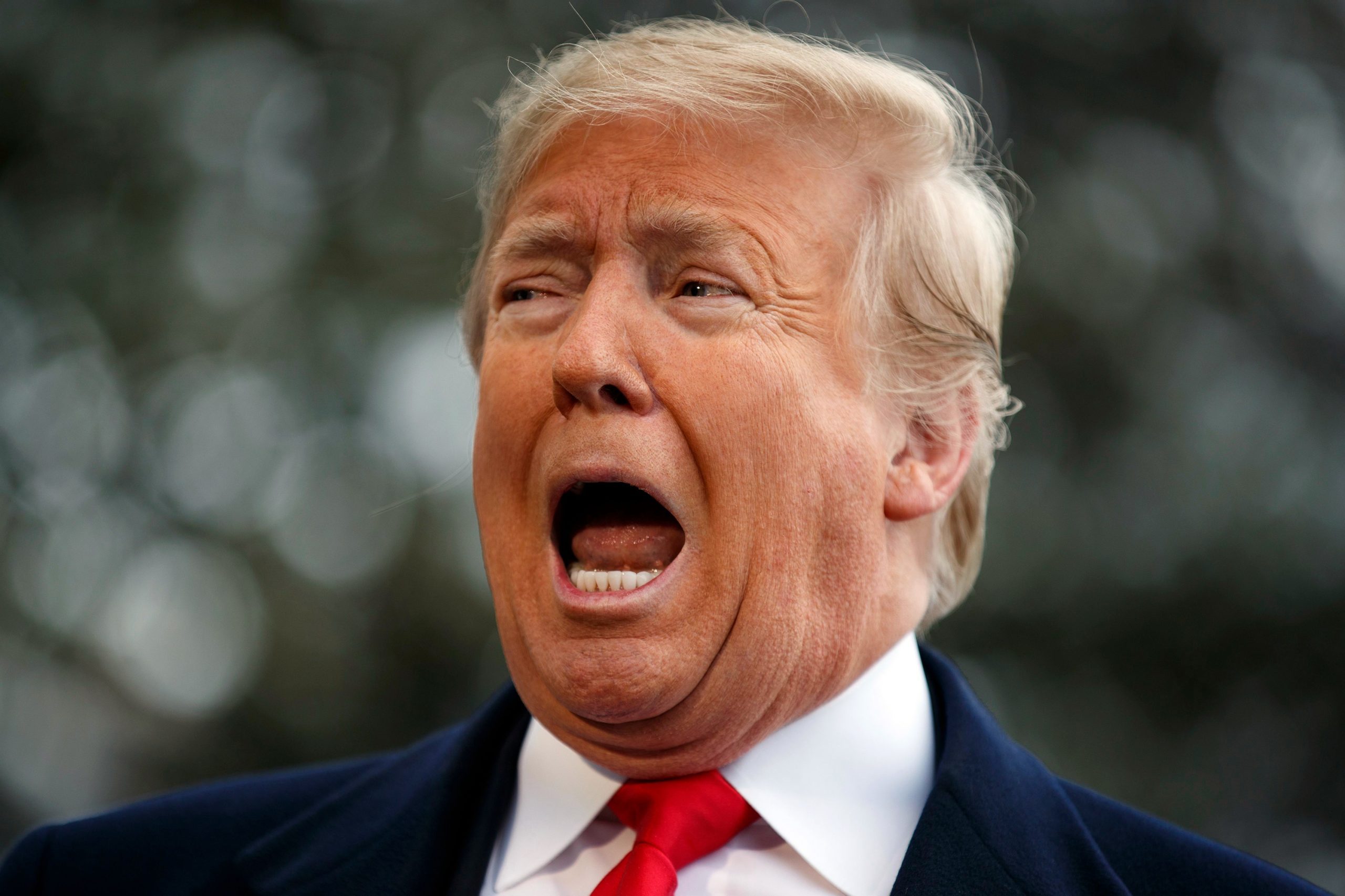Trump, Washington, USA – 14 Jan 2019